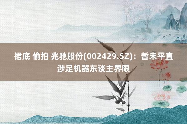裙底 偷拍 兆驰股份(002429.SZ)：暂未平直涉足机器东谈主界限