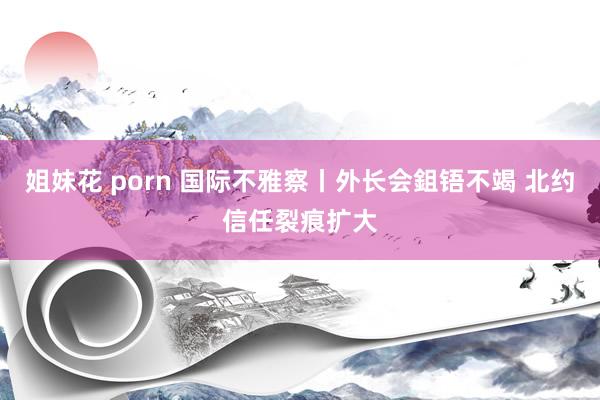 姐妹花 porn 国际不雅察丨外长会鉏铻不竭 北约信任裂痕扩大