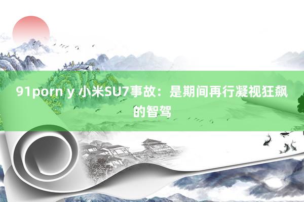 91porn y 小米SU7事故：是期间再行凝视狂飙的智驾