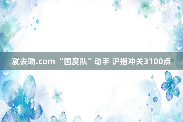 就去吻.com “国度队”动手 沪指冲关3100点
