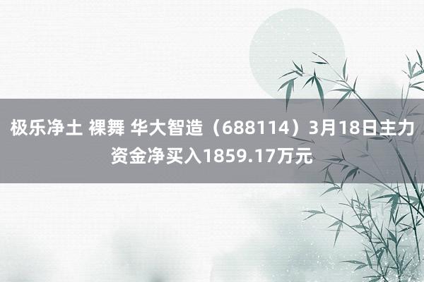 极乐净土 裸舞 华大智造（688114）3月18日主力资金净买入1859.17万元