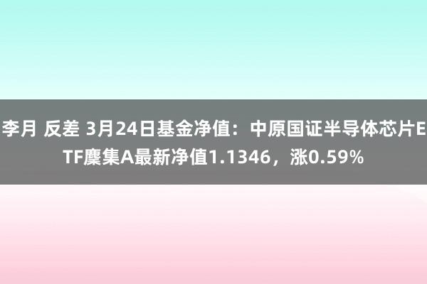 李月 反差 3月24日基金净值：中原国证半导体芯片ETF麇集A最新净值1.1346，涨0.59%