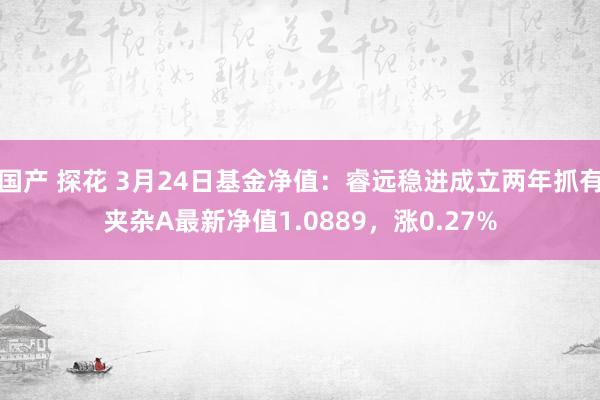 国产 探花 3月24日基金净值：睿远稳进成立两年抓有夹杂A最新净值1.0889，涨0.27%