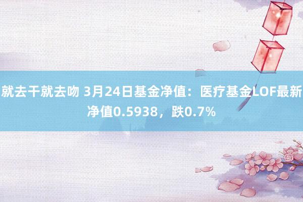 就去干就去吻 3月24日基金净值：医疗基金LOF最新净值0.5938，跌0.7%