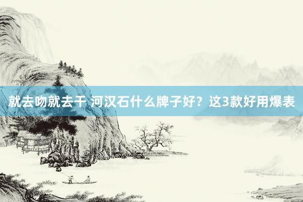 就去吻就去干 河汉石什么牌子好？这3款好用爆表