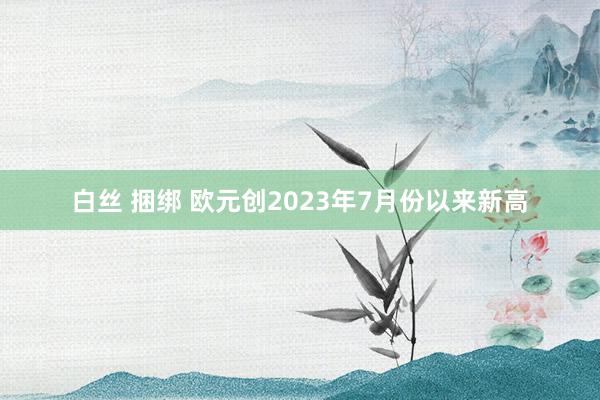白丝 捆绑 欧元创2023年7月份以来新高