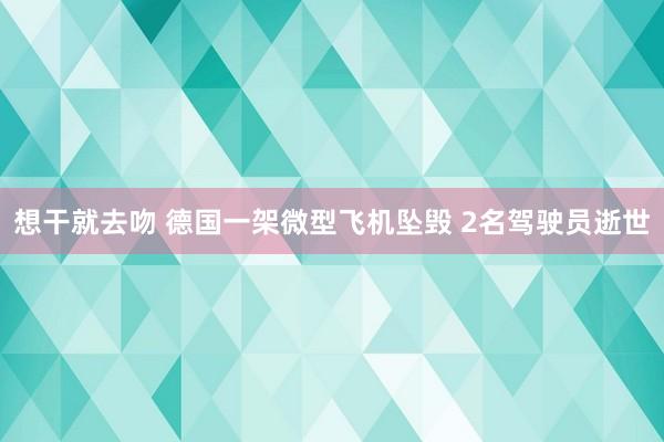 想干就去吻 德国一架微型飞机坠毁 2名驾驶员逝世