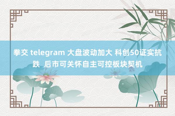 拳交 telegram 大盘波动加大 科创50证实抗跌  后市可关怀自主可控板块契机
