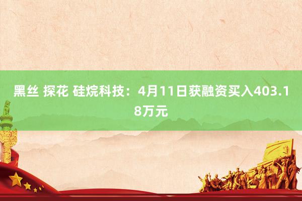 黑丝 探花 硅烷科技：4月11日获融资买入403.18万元