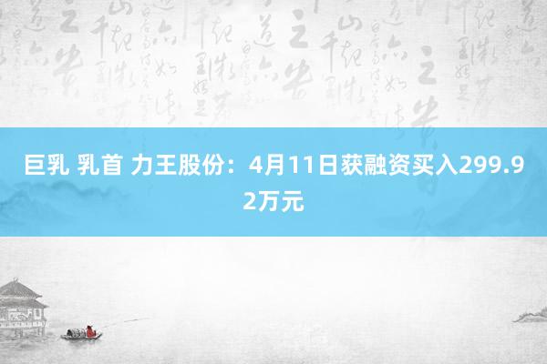 巨乳 乳首 力王股份：4月11日获融资买入299.92万元