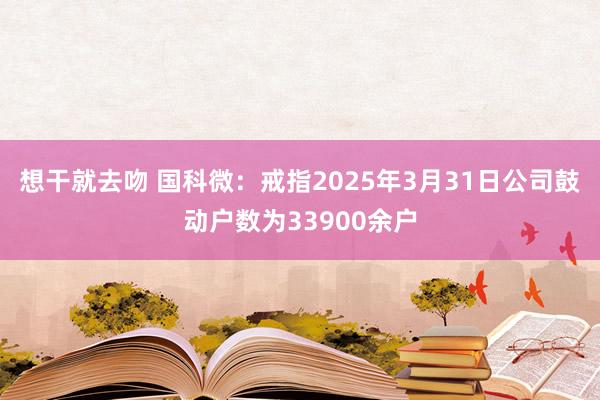 想干就去吻 国科微：戒指2025年3月31日公司鼓动户数为33900余户