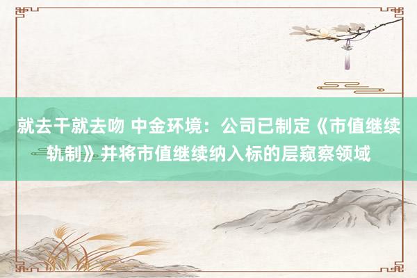 就去干就去吻 中金环境：公司已制定《市值继续轨制》并将市值继续纳入标的层窥察领域