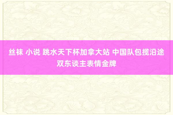 丝袜 小说 跳水天下杯加拿大站 中国队包揽沿途双东谈主表情金牌