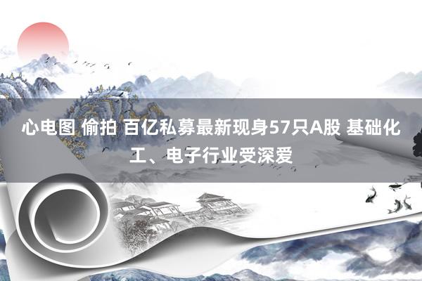 心电图 偷拍 百亿私募最新现身57只A股 基础化工、电子行业受深爱