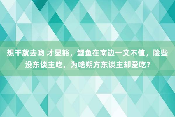 想干就去吻 才显豁，鲤鱼在南边一文不值，险些没东谈主吃，为啥朔方东谈主却爱吃？