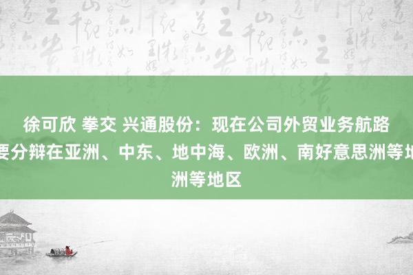 徐可欣 拳交 兴通股份：现在公司外贸业务航路主要分辩在亚洲、中东、地中海、欧洲、南好意思洲等地区