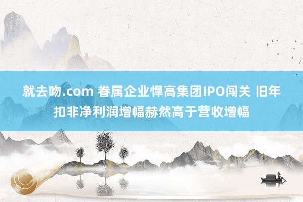 就去吻.com 眷属企业悍高集团IPO闯关 旧年扣非净利润增幅赫然高于营收增幅