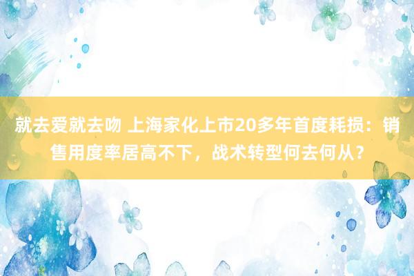 就去爱就去吻 上海家化上市20多年首度耗损：销售用度率居高不下，战术转型何去何从？