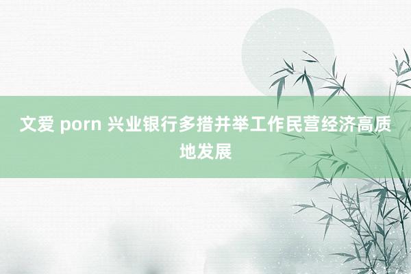 文爱 porn 兴业银行多措并举工作民营经济高质地发展