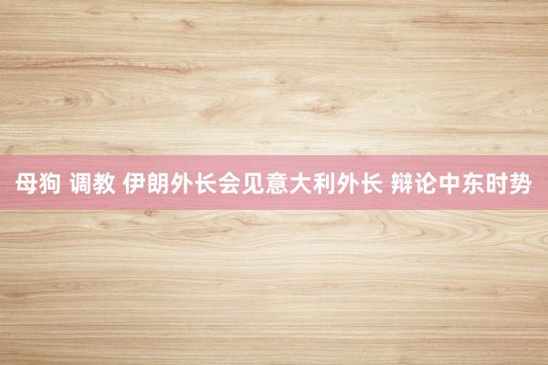 母狗 调教 伊朗外长会见意大利外长 辩论中东时势
