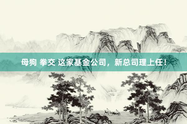 母狗 拳交 这家基金公司，新总司理上任！