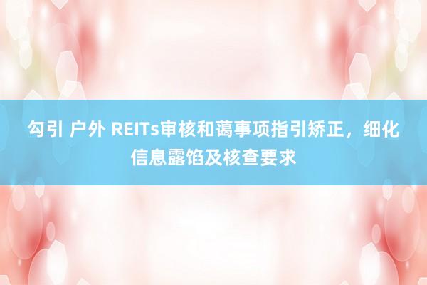 勾引 户外 REITs审核和蔼事项指引矫正，细化信息露馅及核查要求