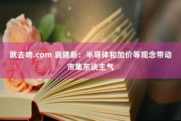 就去吻.com 袁建新:半导体和加价等观念带动市集东谈主气