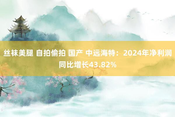 丝袜美腿 自拍偷拍 国产 中远海特：2024年净利润同比增长43.82%