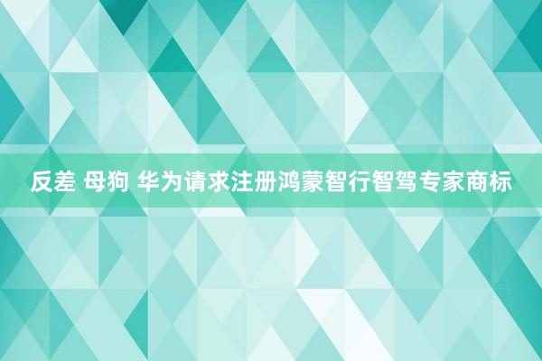 反差 母狗 华为请求注册鸿蒙智行智驾专家商标