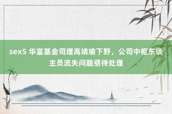 sex5 华富基金司理高靖瑜下野，公司中枢东谈主员流失问题亟待处理