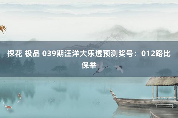 探花 极品 039期汪洋大乐透预测奖号：012路比保举